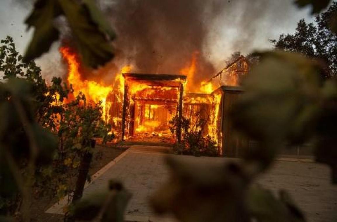 Bosbranden Californië - Gouverneur roept noodtoestand uit