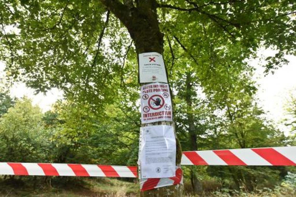Nieuw geval van Afrikaanse varkenspest in besmette zone