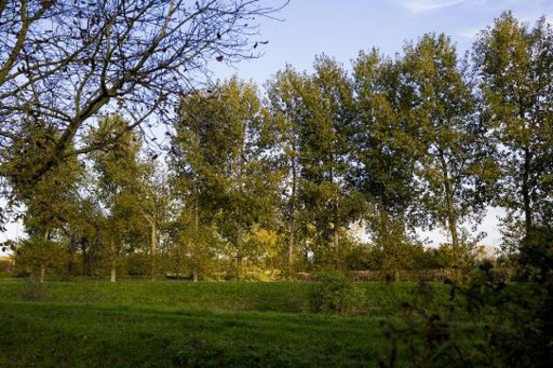 Rustig en droog weer met zon