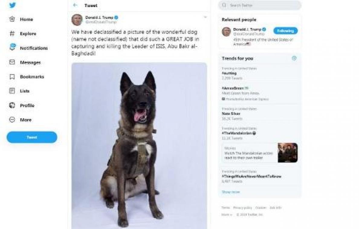 Hond die sleutelrol speelde tijdens operatie uitgenodigd op Witte Huis