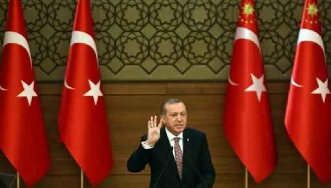 Nederlandse columniste "opgepakt voor tweets over Erdogan"