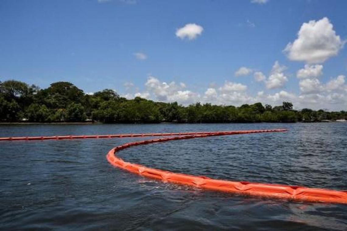 "Olievlek voor Brazilië tragedie voor mariene ecosysteem"