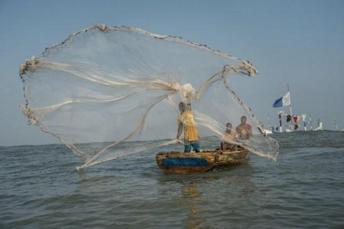 "Plastic van visgerei vormt gevaar in zee"