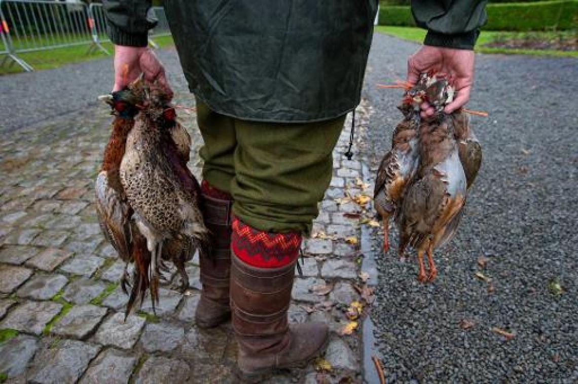 "Stopzetting jacht op patrijs kan nadelig zijn voor soort"