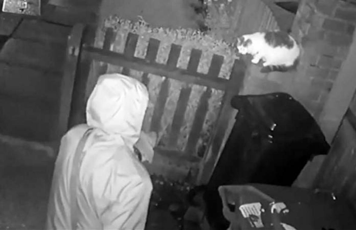 VIDEO. Gruwelijk! Man beveelt zijn hond om hulpeloze kat aan te vallen