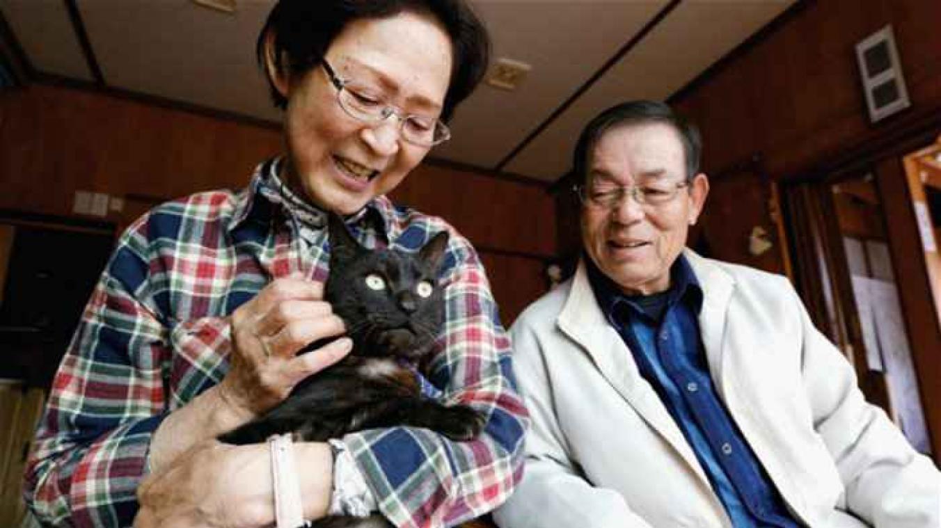 Vermiste kat drie jaar na Japanse tsunami teruggevonden