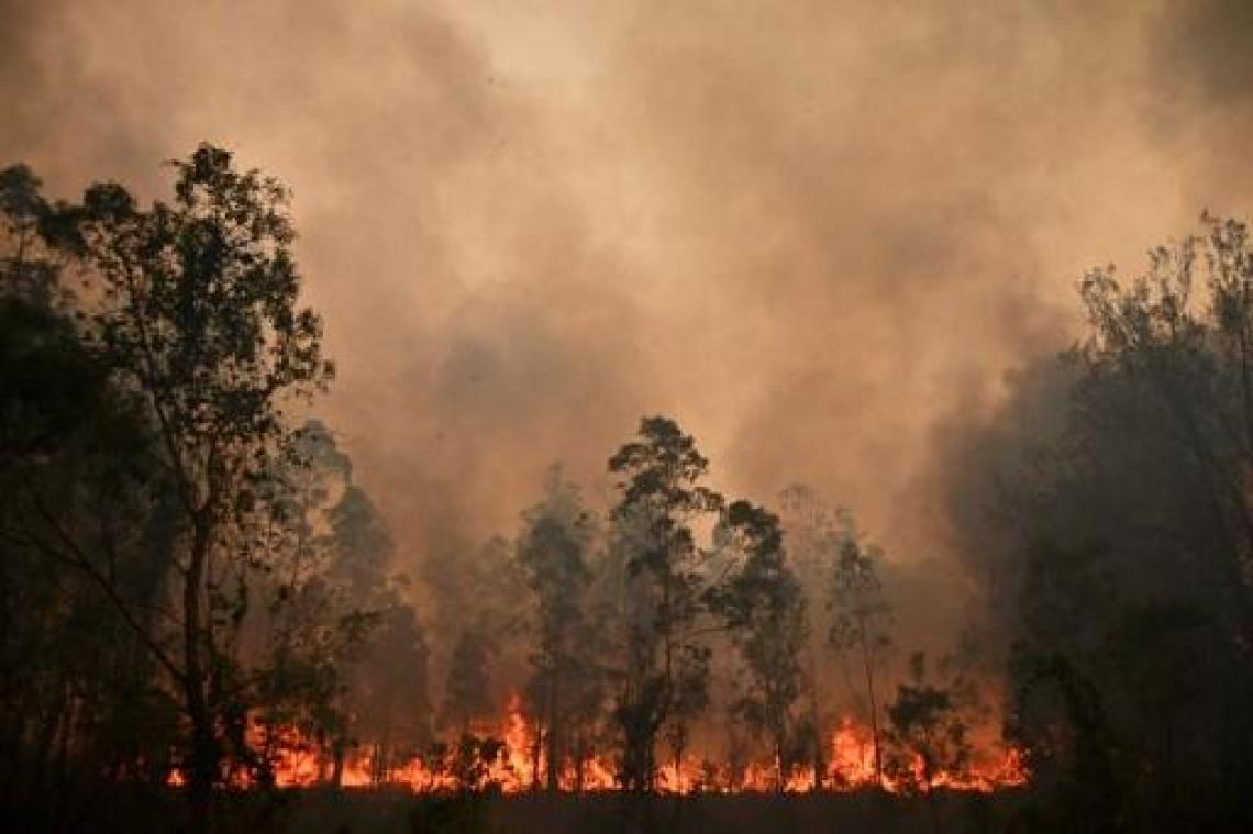 Bosbranden Australië - Noodtoestand uitgeroepen in Australische staat door bosbranden