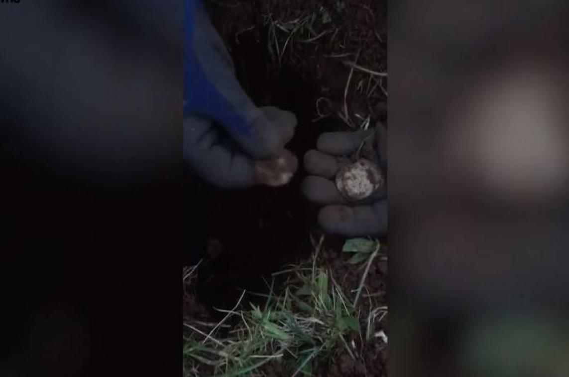 BIZAR. Man ontdekt eeuwenoude muntschat tijdens zoektocht naar verloren trouwring