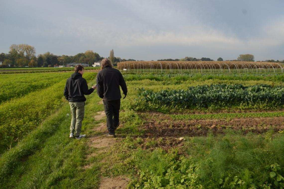 Brusselse landbouw moet versnelling hoger schakelen