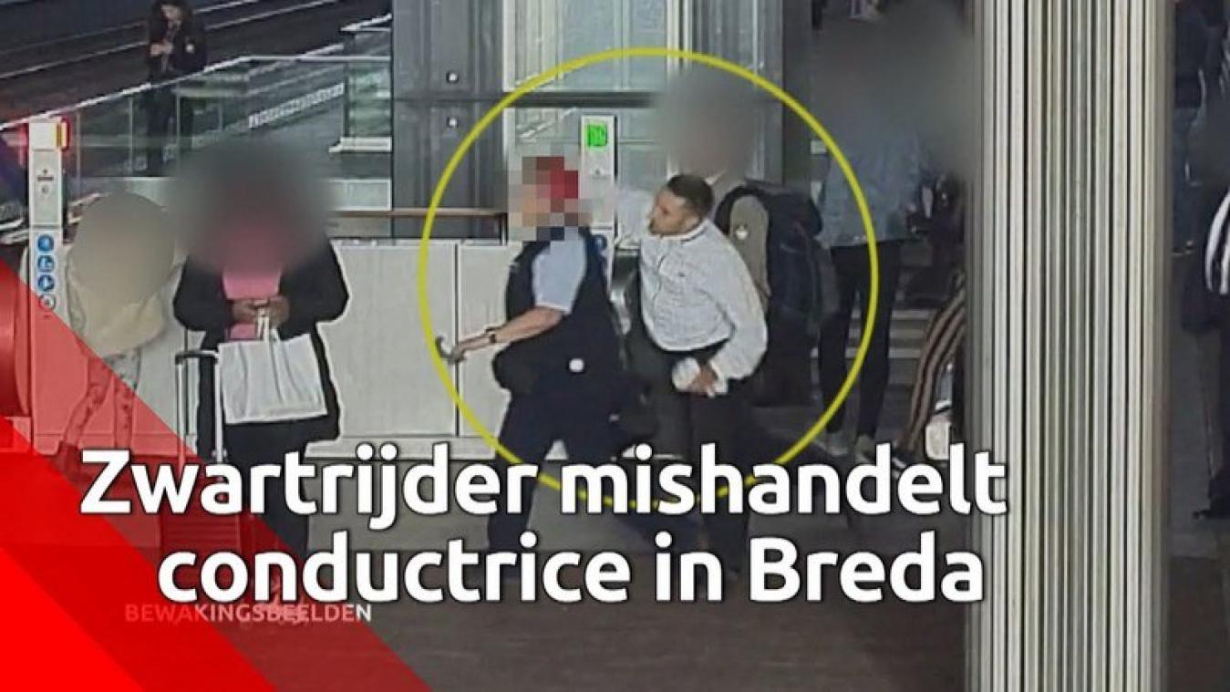 VIDEO. Vlaamse zwartrijder slaat Nederlandse conductrice knock-out