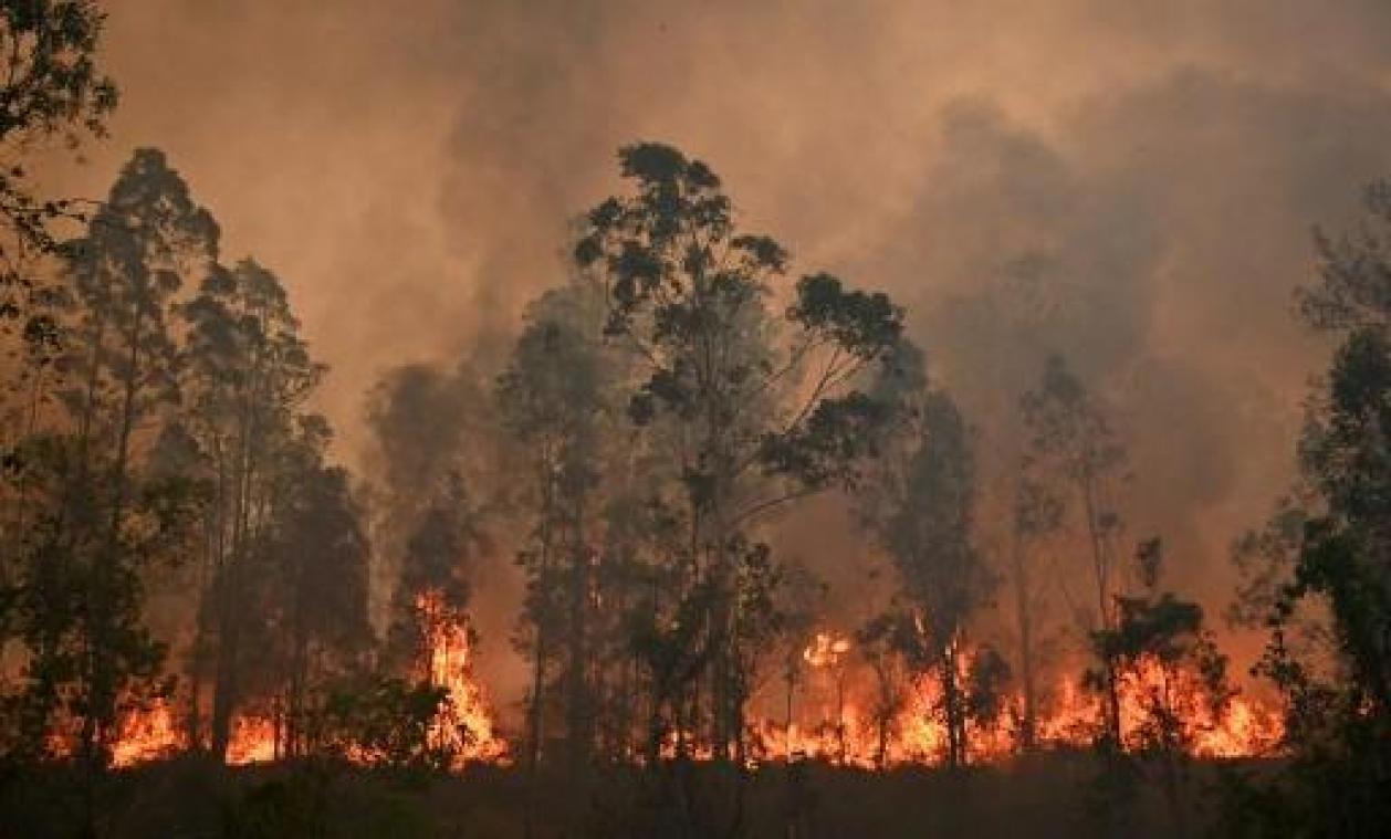 Bosbranden Australië - Al vier doden bij bosbranden in Australië