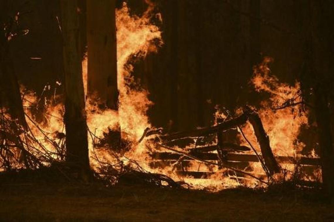 Bosbranden Australië - Australië zet zich schrap voor hitte en sterke wind
