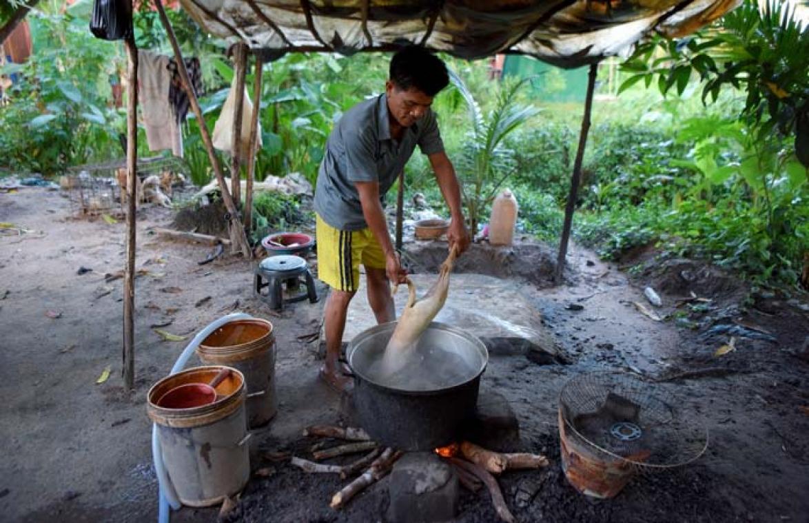 Afschuwelijk! Handel in hondenvlees in Cambodja: "Door ze te verdrinken, horen we ze niet janken"