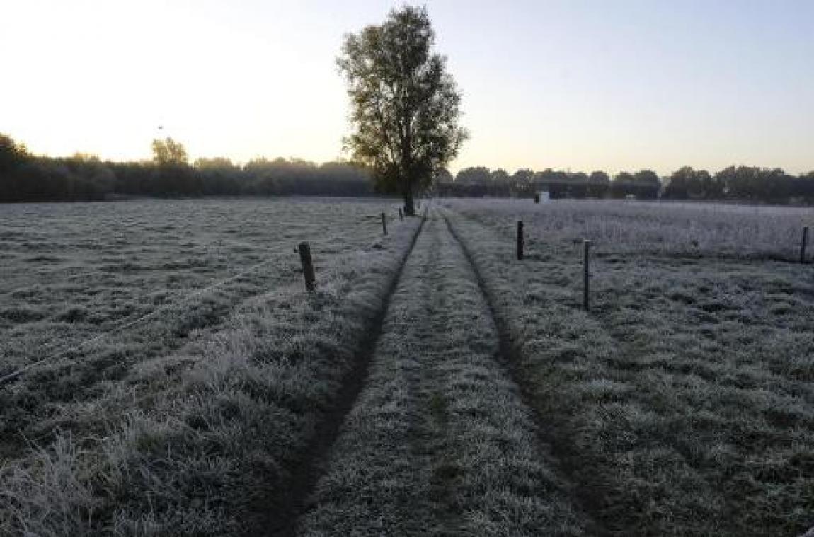 Vriesnacht op komst