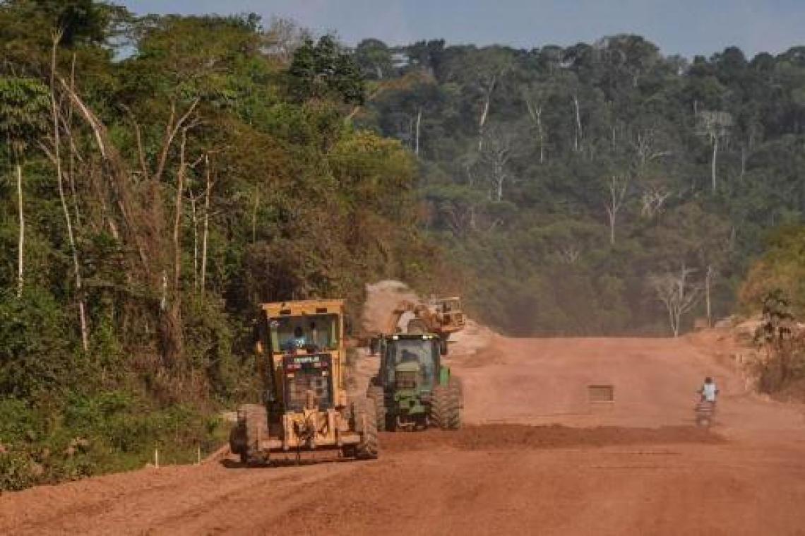 Ontbossing in Braziliaanse Amazonegebied op hoogste niveau sinds 2008