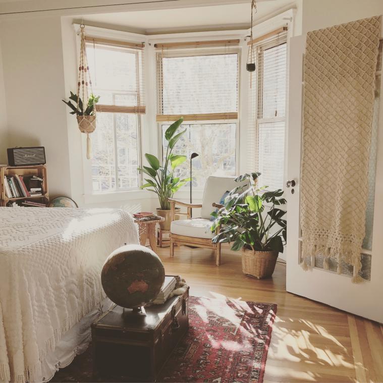 Je hebt honderden planten nodig om de lucht in huis te zuiveren