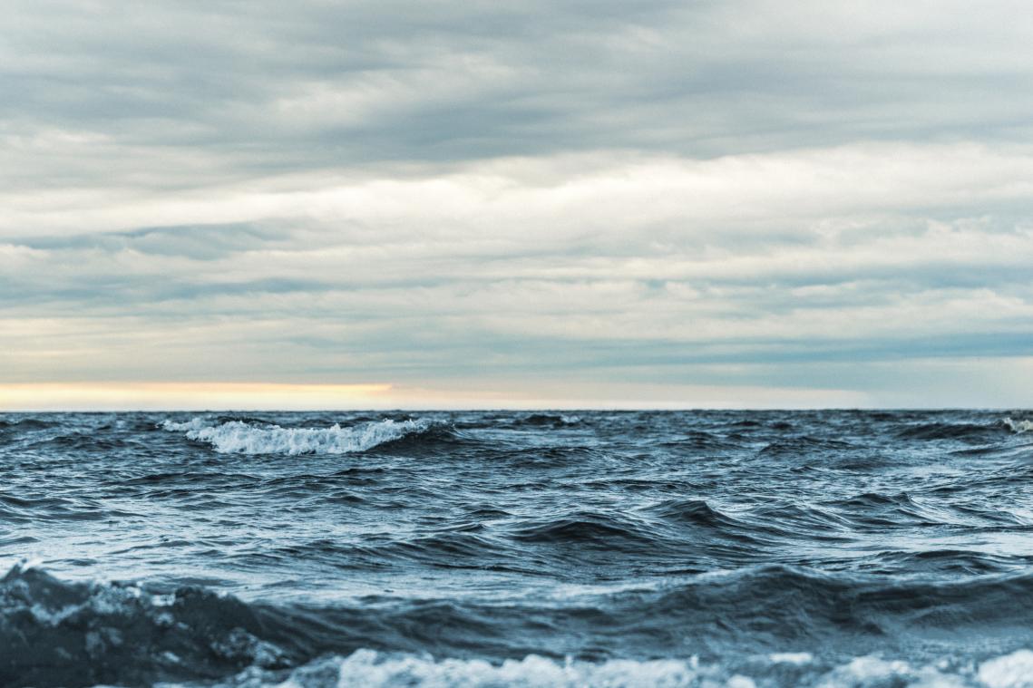 "Oceanen kunnen zesmaal zoveel voedsel opleveren"