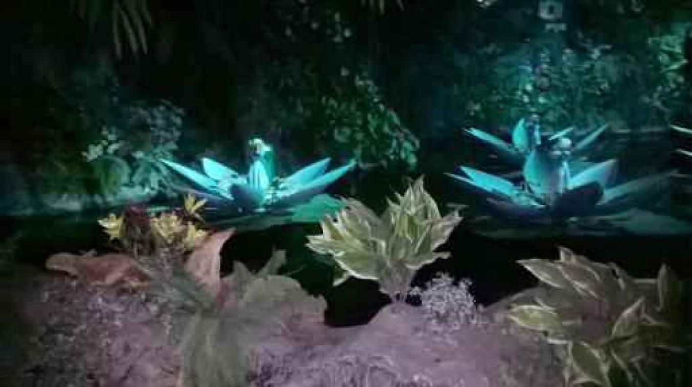 Nederlands pretpark Efteling viert vijftig jaar Indische Waterlelies van koningin Fabiola