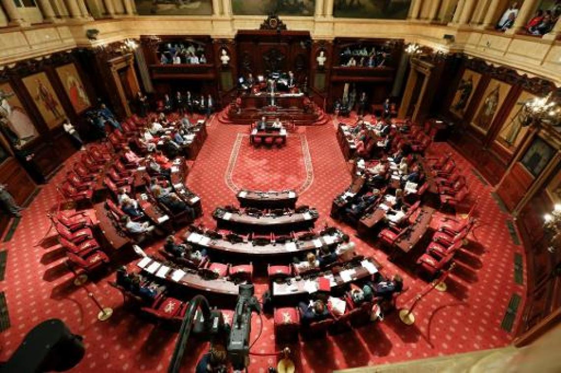 Anciaux hekelt "populistisch spel" rond Senaat
