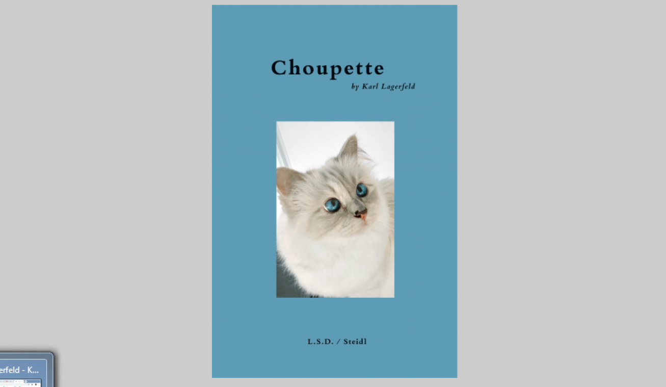 Karl Lagerfelds kat Choupette krijgt een eigen boek