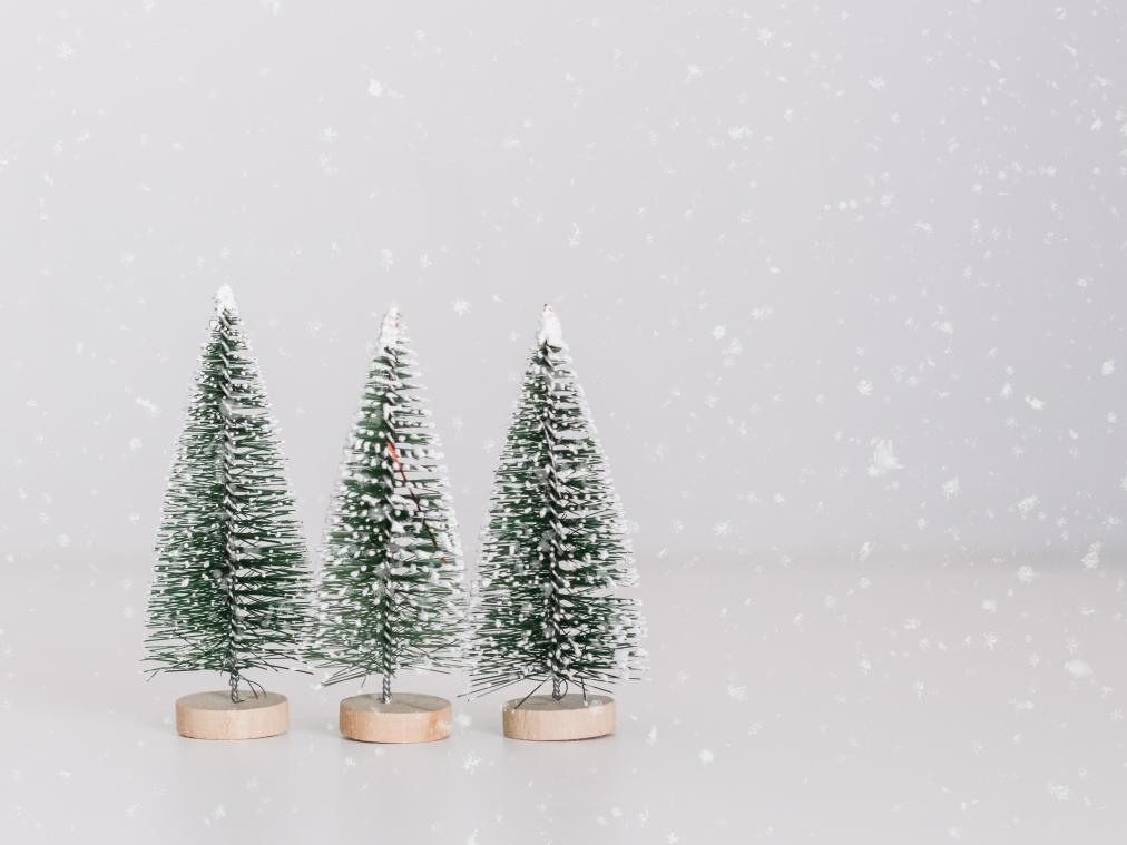 Tien ecologische cadeautjes voor groene zielen