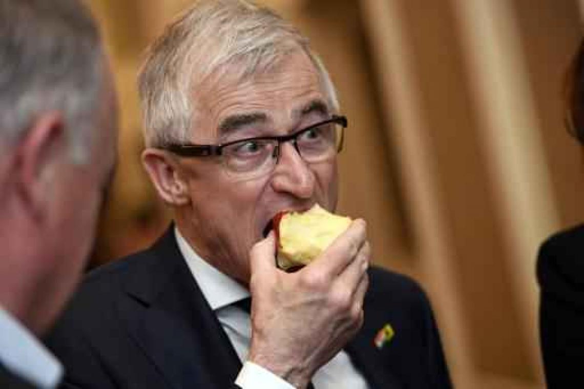 Vlaamse economische missie India - Zal India de Vlaamse peer lusten of niet?