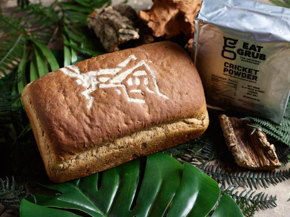 BIZAR. Dit brood bevat maar liefst 336 krekels
