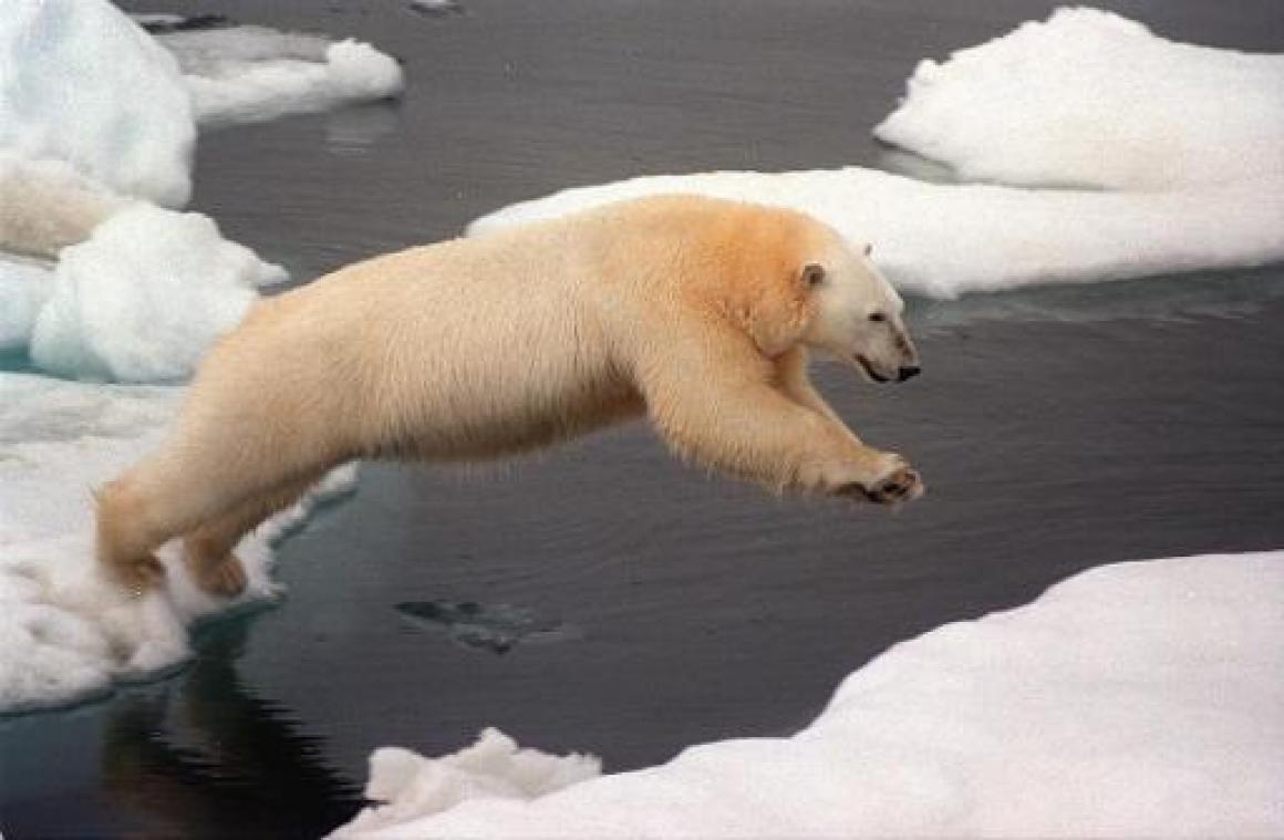Europeanen beschouwen klimaatverandering als topprioriteit