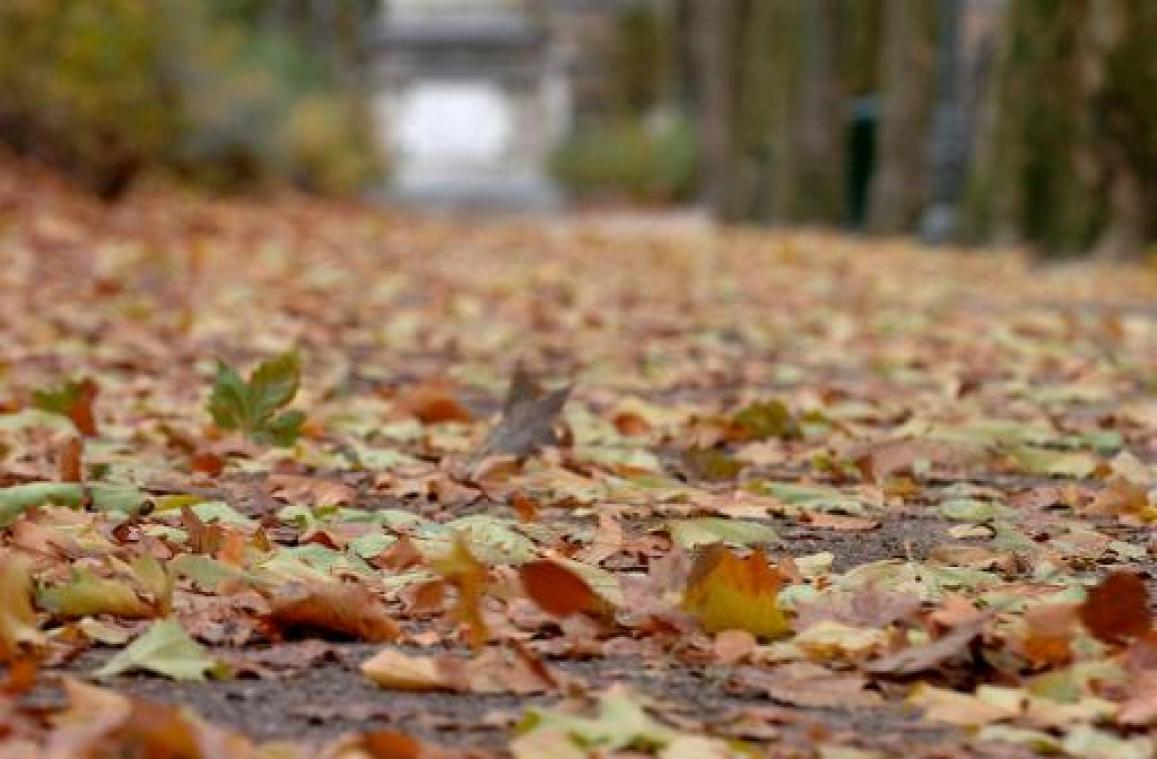 De herfst was er een van dertien in een dozijn