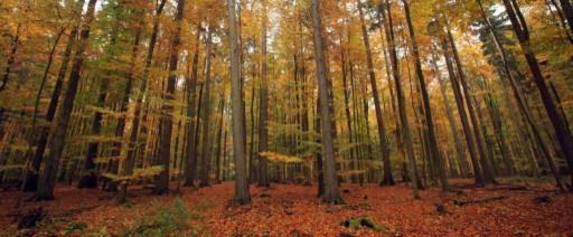 Vlaams Parlement keurt klimaatresolutie goed