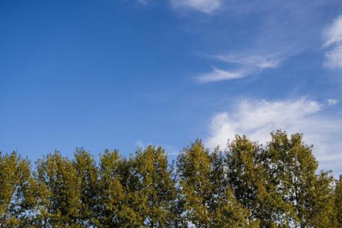 Wisselvallig maar meestal droog