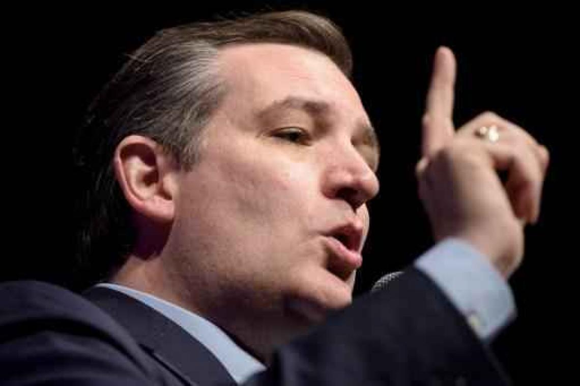Ted Cruz kiest Carly Fiorina als running-mate