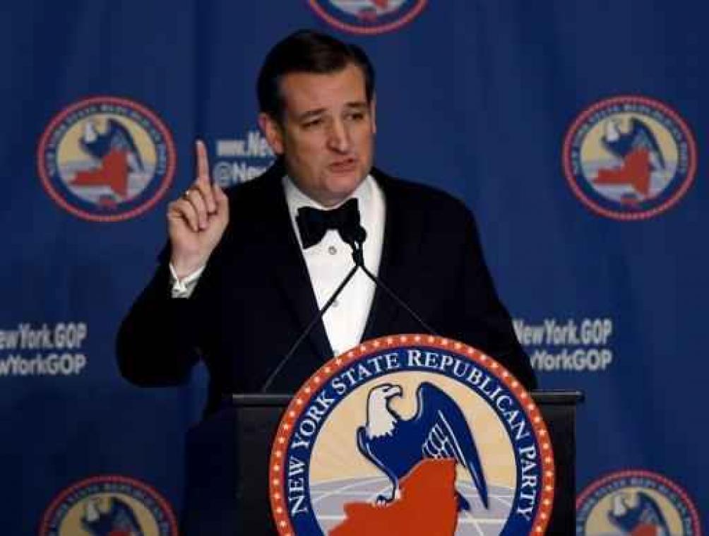 Republikein Cruz bevestigt keuze voor Carly Fiorina als running-mate