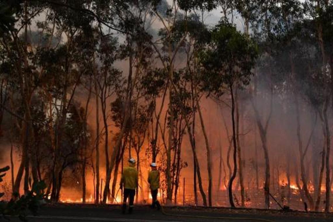 Bosbranden Australië - Toxische wolk nu ook boven Canberra