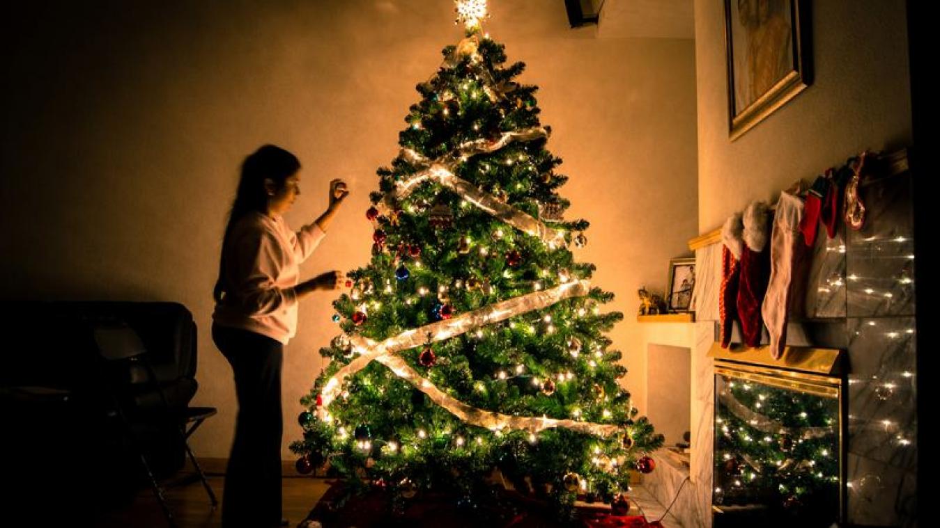 Zo bescherm je je kerstboom tegen je huisdieren