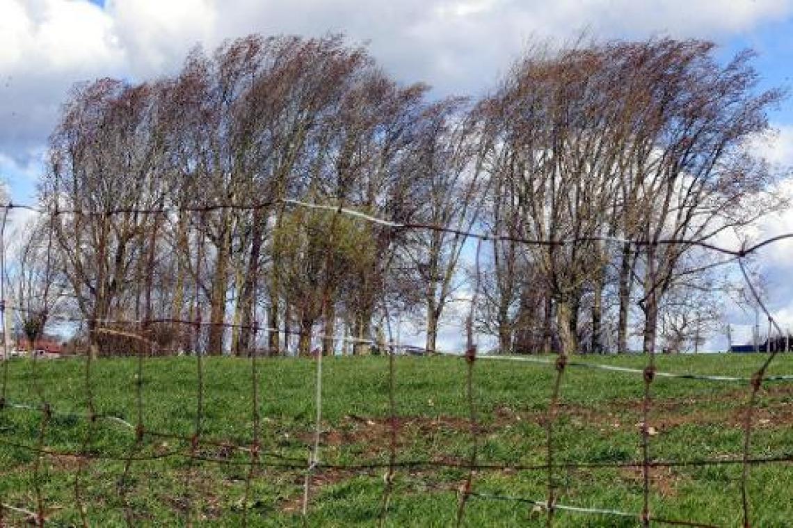 Geleidelijk aan betrokken bij krachtige wind