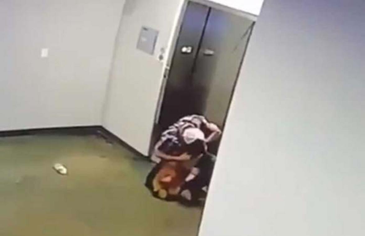 VIDEO. Vrouw neemt lift mét leiband, maar vergeet hondje. Voorbijganger voorkomt drama.