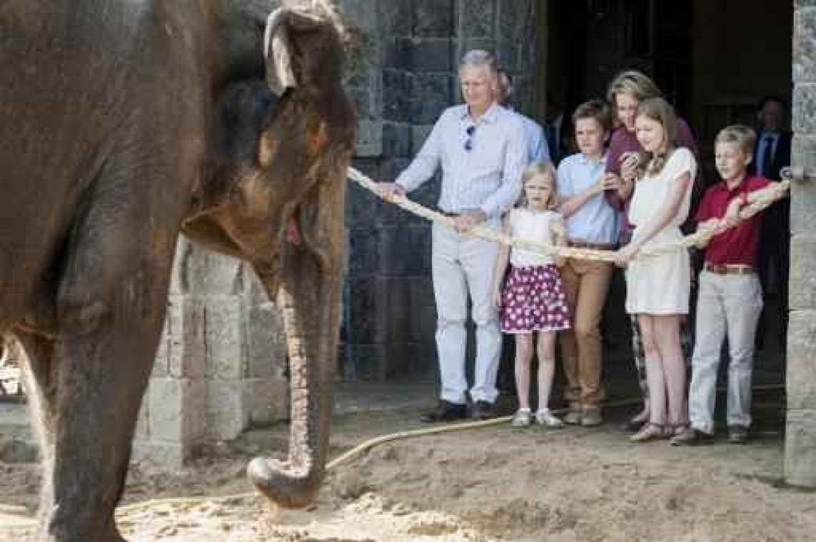 Pairi Daiza in blijde verwachting van 2 babyolifantjes