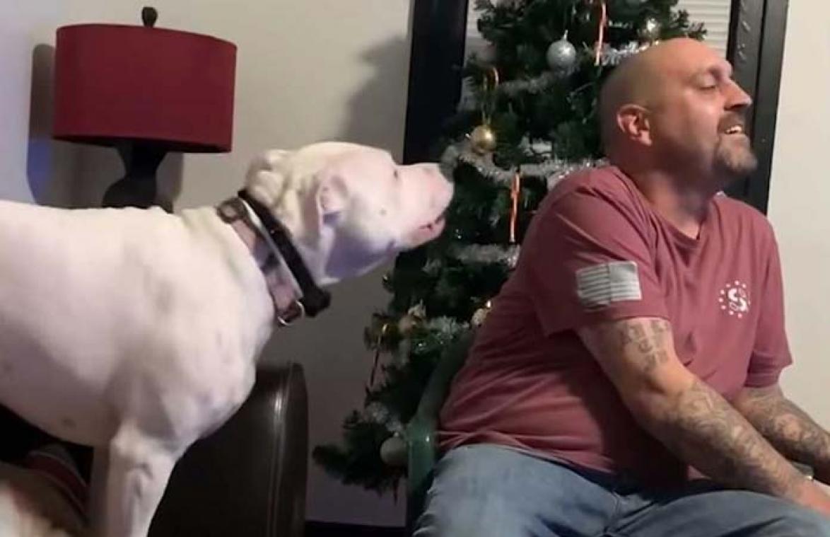 VIDEO. Deze schattige hond vraagt zoveel aandacht dat het grappig wordt