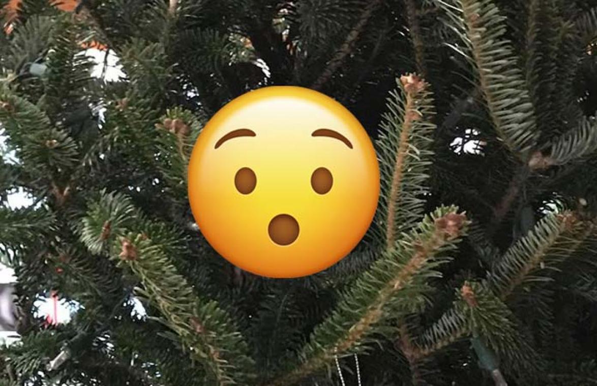 Je gelooft nooit wat deze vrouw plots in haar kerstboom aantrof
