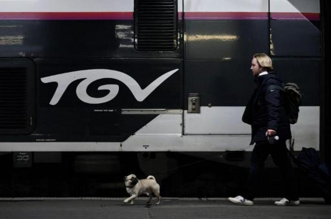 Algemene staking Frankrijk - Trein- en metrostaking treffen reizigers in kerstvakantie in Frankrijk