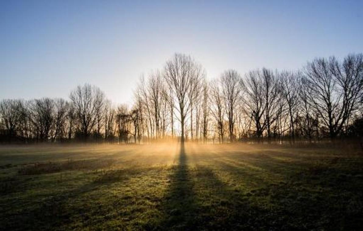 Weerbericht - Zonnige zondag