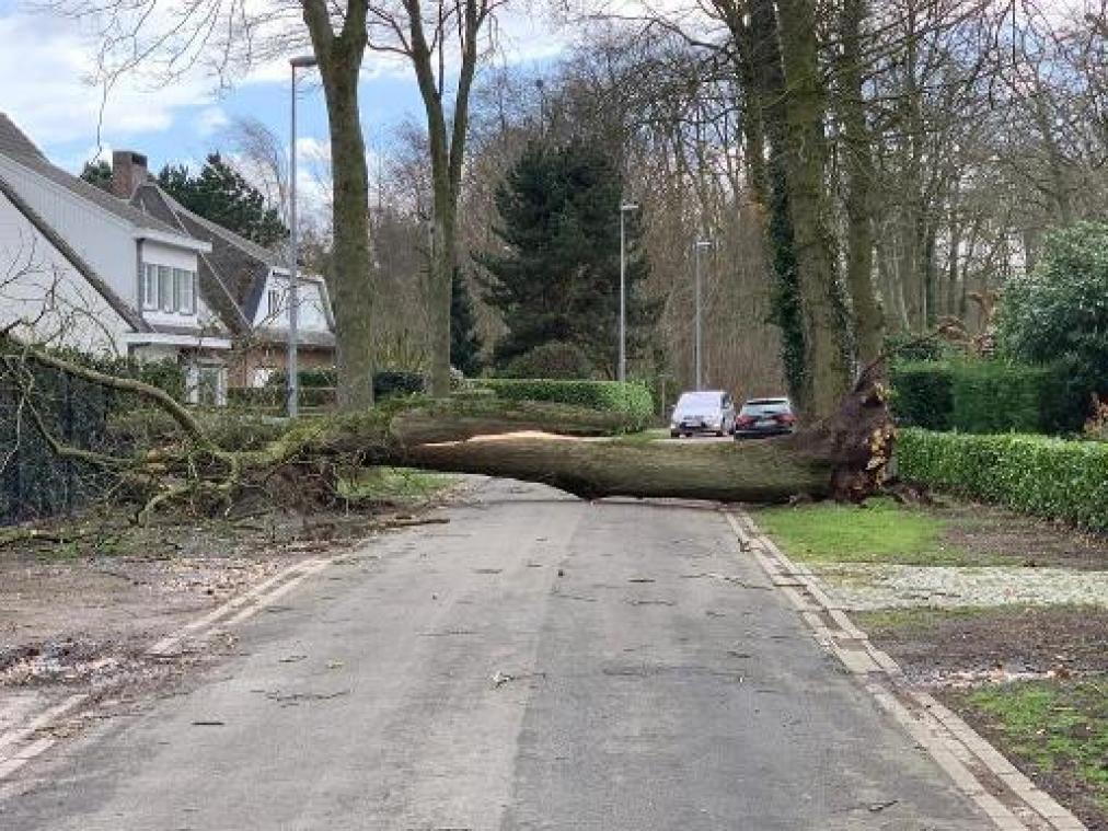 Jaar in evenwicht voor verzekeraars, ondanks voorjaarsstormen