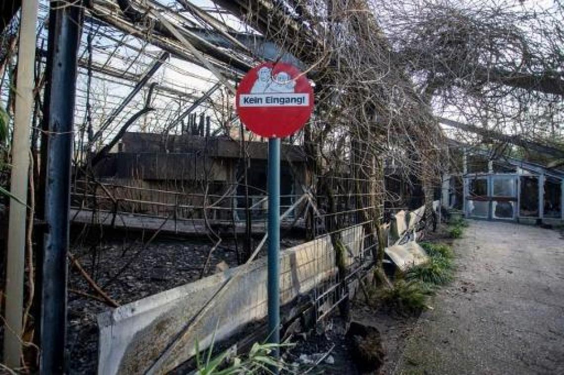 Brand in Duitse dierentuin mogelijk veroorzaakt door Thaise ballon