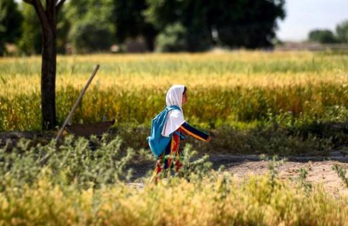 Afghanistan roemt man die met dochters twaalf kilometer naar school stapte