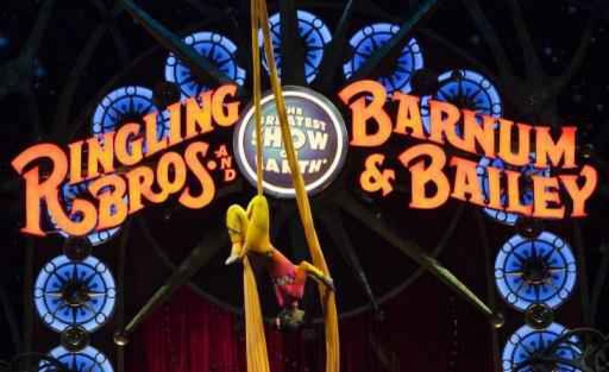 Circus Ringling Brothers geeft zijn legendarische olifantenshow op