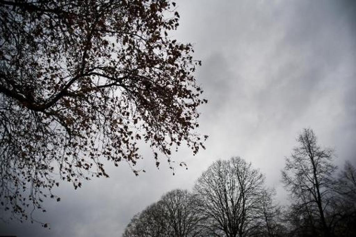 Zwaarbewolkt bij zeer zachte temperaturen