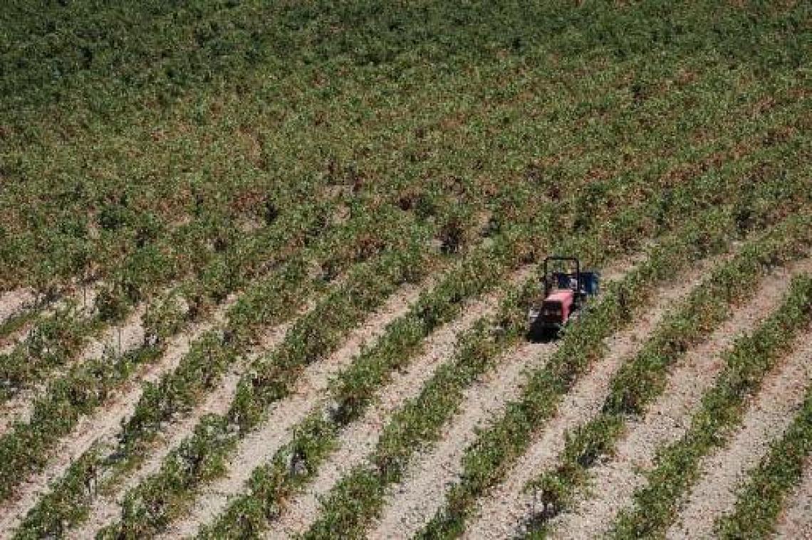 Maffialeden opgepakt in Sicilië voor misbruik Europese landbouwfondsen