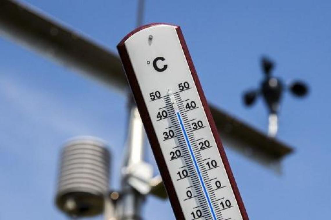 2019 was op een na warmste jaar ooit