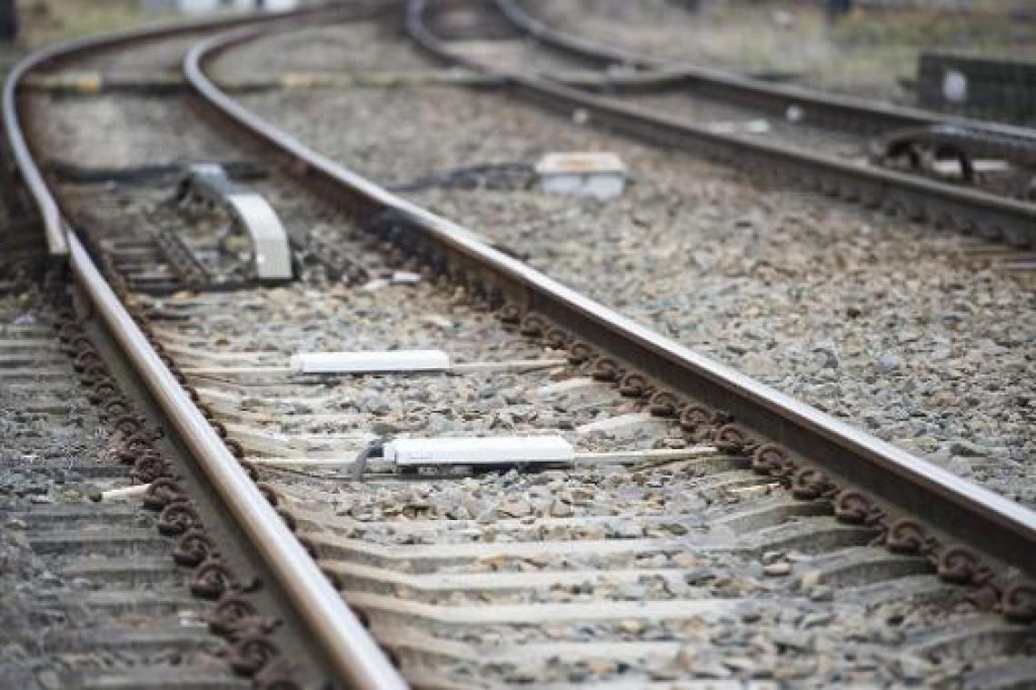 Hogesnelheidslijnen spoornet geliefkoosde doelwit van kabeldieven